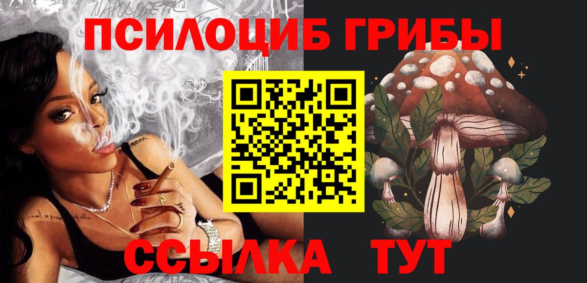 наркота  Вход с VPN  Кисловодск  Псилоцибиновые грибы MAGIC MUSHROOMS 